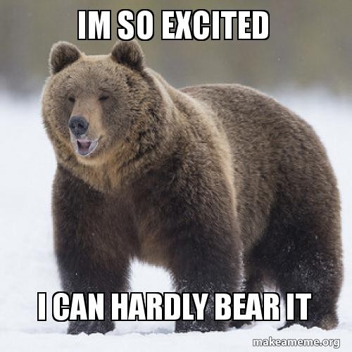 bear, funny, meme