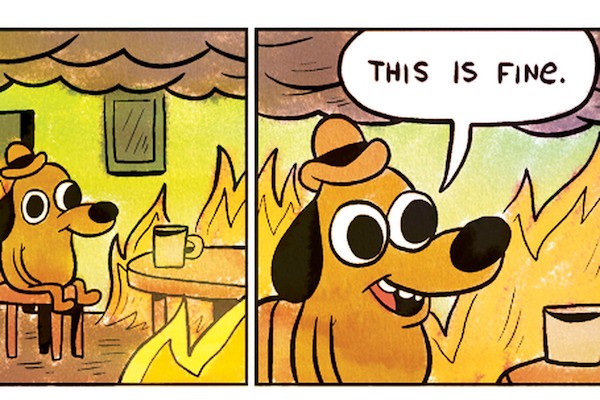 this is fine dog on fire